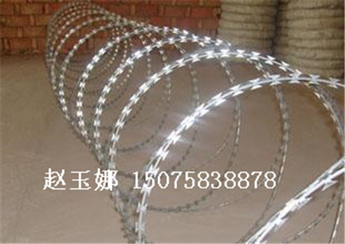 蛇腹形刀刺網(wǎng),看守所刀刺網(wǎng),監(jiān)獄刀刺網(wǎng)